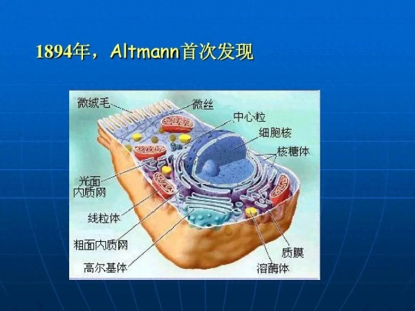 6岁男孩患线粒体脑肌病窒息抽搐，妈妈：他就是我的命！